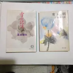 Item thumbnail for item fe88905f-5ad3-4856-b5a6-ab87c6afc472