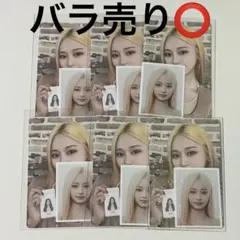 TWICE シーグリ ツウィ トレカ 2023年