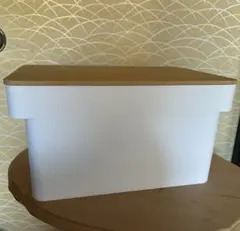 Item thumbnail for item 2a731a1f-70ab-4fdb-821a-4d7ae06a0b11