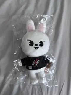 Stray Kids Leebit ぬいぐるみ 着せ替えセット - メルカリ