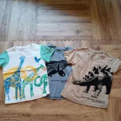 恐竜デザイン Tシャツ 3枚セット
