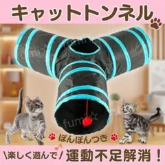 Item thumbnail for item ba0d985b-94b9-468a-a0ff-5dec85b6617a