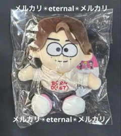 橋本将生 ぬいぐるみ timelesz ドーム グッズ 限定 タイムレス ぬい