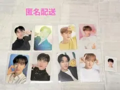 straykids nacific トレカ コンプ セット チャンビン