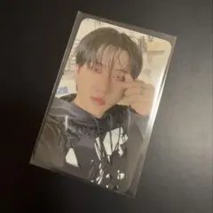 straykids スキズ チャンビン KARMA skzoo トレカ