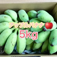 訳あり 沖縄県産 アップルバナナ 約5kg｜希少国産バナナ ご家庭用のサムネイル