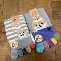 Item thumbnail for item 90784ed4-994a-406a-a823-289ad9c6a1ff