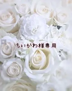 ちいかわ様専用