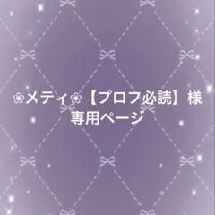 ❀メティ❀【プロフ必読】様専用ページ