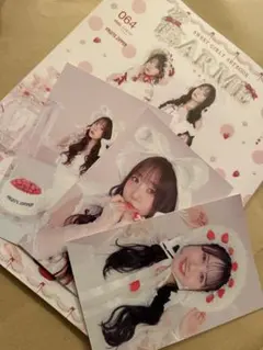 【応募券とポストカード付き】LARME FRUITSZIPPER