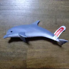 Item thumbnail for item 794d321a-2555-45d1-8640-ffaaf2a256a8