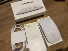 Apple Magic Mouse usb-c