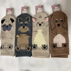 seria フロントどでか犬柄ソックス　ショート丈　23〜25cm 4種類セット