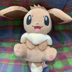 상태좋음 포켓몬 イーブイ ぬいぐるみ