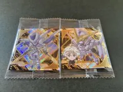 ☆ペイ☆様 リクエスト 2点 まとめ商品