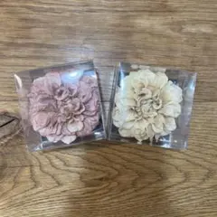 Item thumbnail for item 08a54a94-cd24-4604-8c74-32f45e42804d