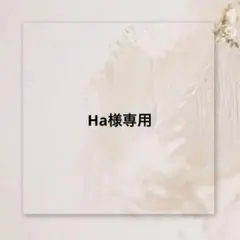 Ha様専用