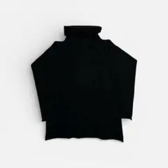 Item thumbnail for item 20ade19e-e348-4e82-bb85-4b64f696b82d