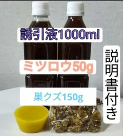 2026年最新】日本蜜蜂巣クズの人気アイテム - メルカリ
