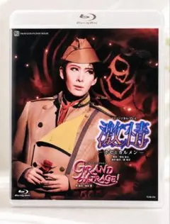 DVD未開封】青の炎 二宮和也コレクターズエディション 15000本限定