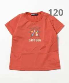 【新品未使用】ムージョンジョン てんとう虫 刺繍 Tシャツ 120