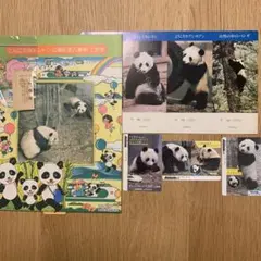 国鉄上野駅・赤ちゃんパンダ誕生記念入場券（トントン・1986） - メルカリ