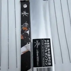 角中勝也 メモリアルボンフィン