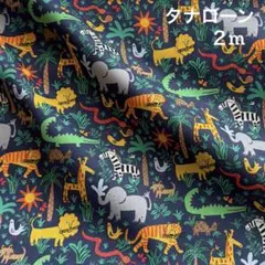 Item thumbnail for item 5298c3b9-979a-4d1b-a2a9-7002c7e6a30f