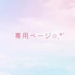 専用ページ✩.*˚