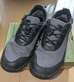 Item thumbnail for item 8fb0ea68-318a-4ce5-8c9e-46bbc3011be6