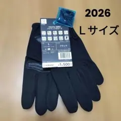 2026新作　XShelter 暑熱β アクティブグローブ 黒 Lサイズのサムネイル