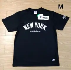 Item thumbnail for item 4298f391-6b93-4740-8ffa-f222d7d7d07d