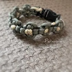 Item thumbnail for item 722d076e-cf7e-4b8c-982d-2fa21e30f799