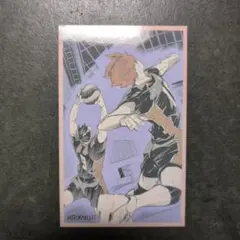 ハイキュー　メモリアルコレクション　日向　影山