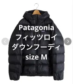 値下げ交渉可　初期　09AW パタゴニア フィッツロイダウンフーディ 2026年最新】パタゴニア フィッツロイダウンの人気アイテム - メルカリ