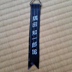 埼玉西武ライオンズ シークレットボンフィンハントブルー 隅田知一郎