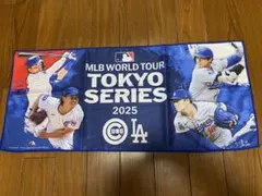チェルシー CL優勝記念ペナント チェルシー CL優勝記念ペナント - メルカリ