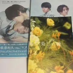 美しい彼 eternal ビジュアルブック パンフレット セット まとめ売り