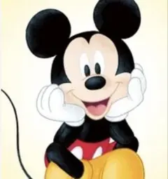 はる様専用•*¨*•.¸♬︎