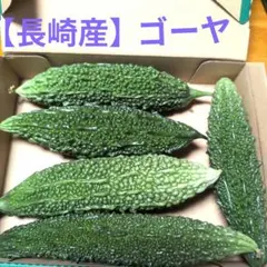 ①【長崎産】 ゴーヤ 苦瓜のサムネイル