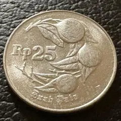 古銭　インドネシア 2025年最新】インドネシア 硬貨の人気アイテム - メルカリ