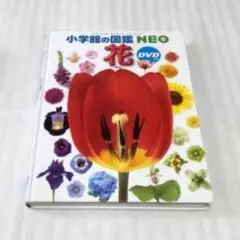 小学館の図鑑　NEO　花　DVD付　ネオ