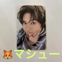 【ZEROBASEONE】naver say never トレカ マシュー