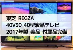 テレビ 80インチ