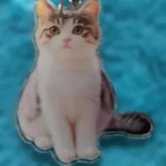 新品未使用で可愛い猫のアクリルキーホルダーです