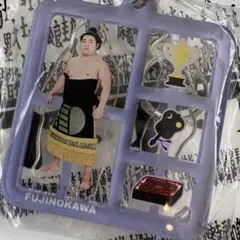 藤ノ川　プラスチックモデル風キーホルダー 大相撲ガチャ