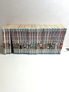 ONE PIECE 尾田栄一郎 総集編 全28巻セット（付録全有）LOGシリーズ