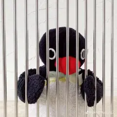 まぁ~様専用ページ❁⃘*.゜