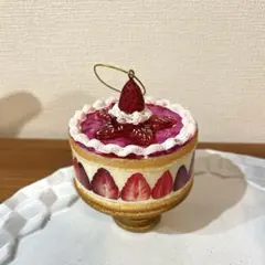 アスティエ・ド・ヴィラット　オーナメント　ケーキ