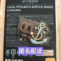 ダゴニャン ご当地 プルバトゥ バッジ txt トゥバ　神奈川 横浜